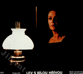 Fotoska - Lev s bílou hřívou