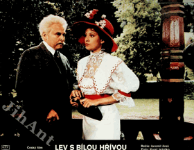 Fotoska - Lev s bílou hřívou