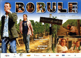 Fotoska - Bobule