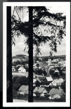 Bystřice nad Pernštejnem (pohled)