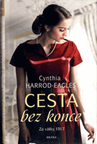 Za války 4. - 1917 - Cesta bez konce