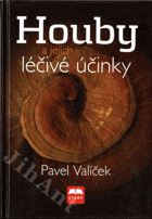 Houby a jejich léčivé účinky