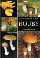 Houby