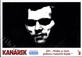 Fotoska - Kanárek