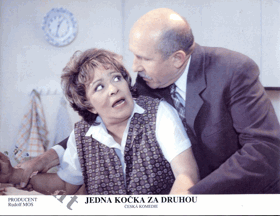 Filmové fotografie - Fotoska - Jedna kočka za druhou