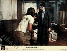 Fotoska - Moucha (The Fly)