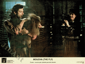 Fotoska - Moucha (The Fly)