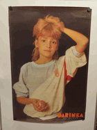 Plakát - Darinka Rolincová