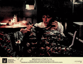Fotoska - Moucha II (The Fly II)