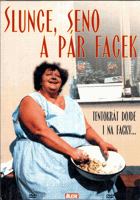 DVD - Slunce, seno a pár facek