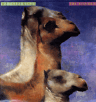LP - The Roches - We Three Kings