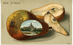 Obálka