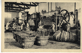 Výroba vína - koše (pohled)