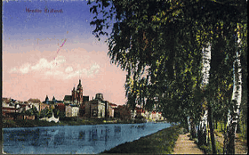Hradec Králové, alej břízy (pohled)