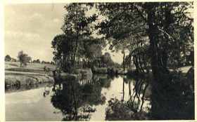 Nová Včelnice - Partie (pohled)