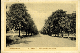 Litoměřice - Leitmeritz - Lobositzer - Strasse (pohled)