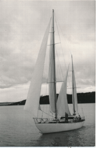 Vitorlás a Balatonom (pohled)
