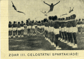 Gymnastika (pohled)