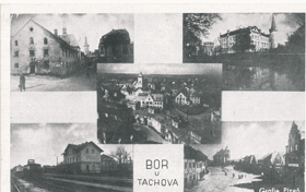 Bor u Tachova (pohled)