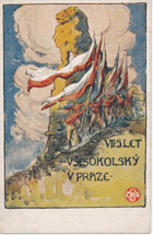 VII. slet všesokolský v Praze (pohled)
