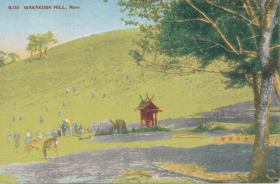 Japonsko - Wakakusa Hill, Nara (pohled)