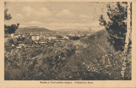 Partie z Červeného kopce - Pohled na Brno (pohled)