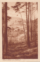 Baumblute im Elbtal (pohled)