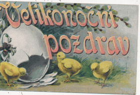 Velikonoční pozdrav - kuřátka (pohled)