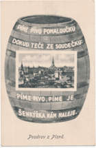 Pozdrav z Plzně (pohled)