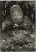 Trocnov - Žižkův kámen (pohled)