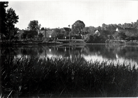 Libějovice, rybník (pohled)