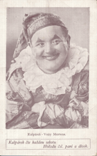 Vojta Merten (pohled)