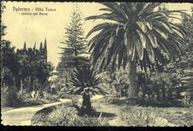 Palermo (pohled)
