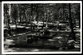 Zlín - Baťova hrobka na lesním hřbitově (pohled)