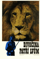Divočina patří lvům
