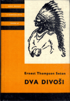 Dva divoši