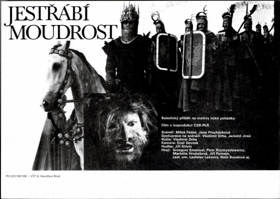 Filmový plakát - Jestřábí moudrost