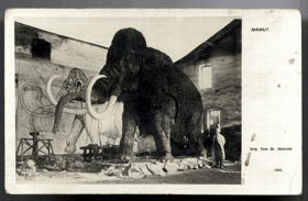 Mamut - model, orig. foto dr. Absolon (pohled)