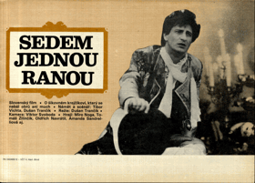 Filmový plakát - Sedem jednou ranou