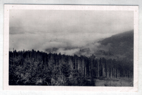 Cestou z Gruně - mlhy nad starohamerským údolím (pohled)