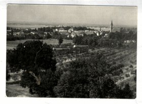 Vidnava (pohled)