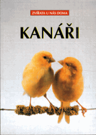 Kanáři