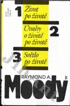 Život po životě - Úvahy o životě po životě - Světlo po životě