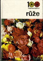 Růže