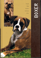 Boxer