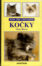 Kočky