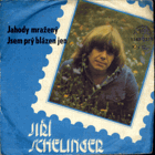 SP - Jiří Schelinger - Jahody mražený, Jsem prý blázen jen