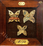 LP - Modrý Efekt - 33