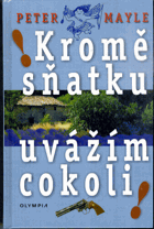 Kromě sňatku uvážím cokoli!