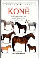 Koně